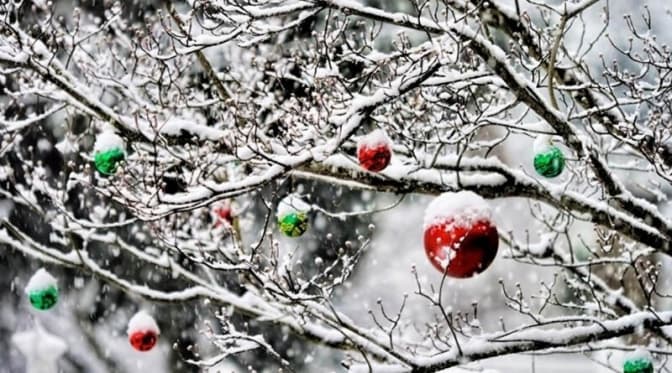 Розслідування щодо очистки озера у Снопківському парку та якою буде погода на Різдво. Підсумки доби