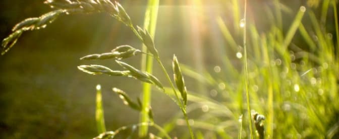 Сьогодні у Львові буде тепло і без дощу