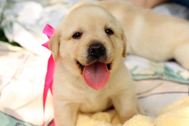 фото: pinterest.com