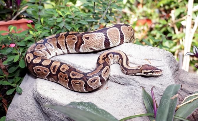 Фото: Київський зоопарк