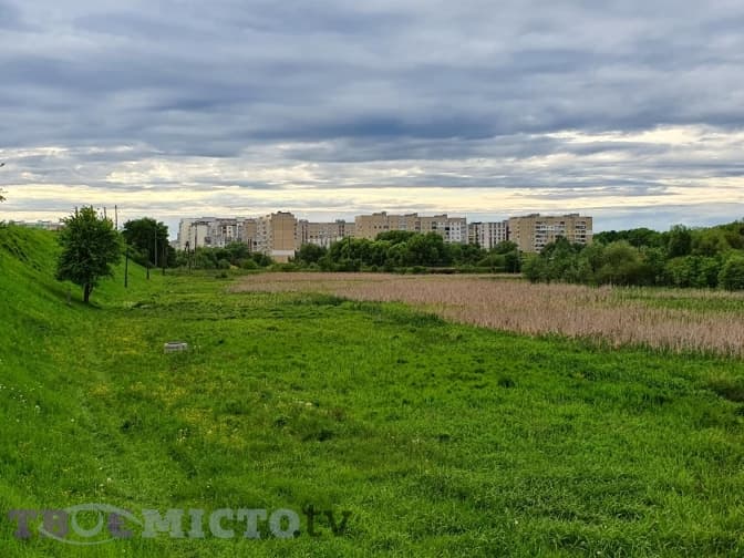 Нова локація для відпочинку. У Львові облаштують перший болотяний парк