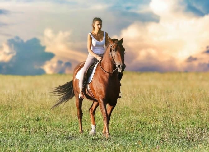 Ілюстративне фото: royal-present.com.ua/