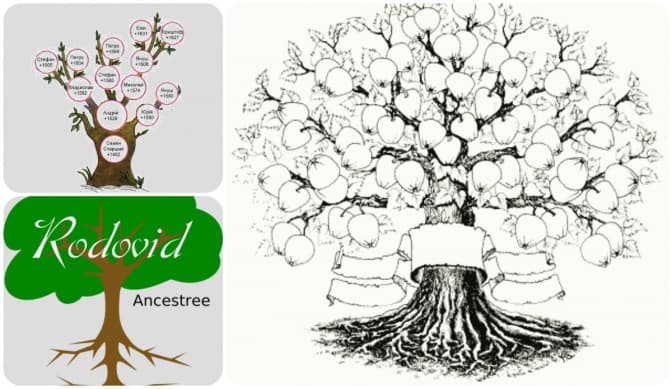 9 онлайн-ресурсів, що допоможуть дослідити родинне дерево