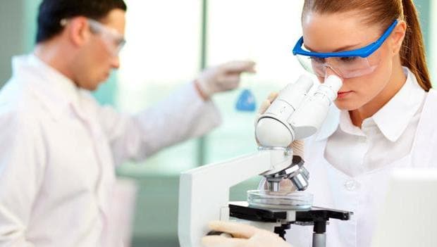 Фото: Вікна