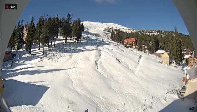 У Карпатах випав сніг. Фото
