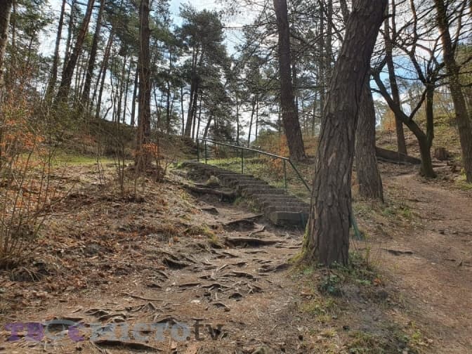 Фото: Тарас Бабенчук