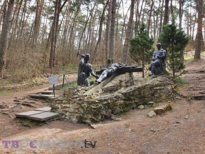 Фото: Тарас Бабенчук