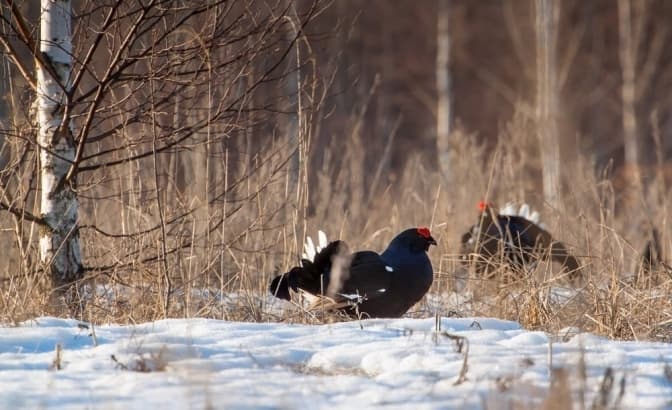 Фото: Яворівський національний природний парк