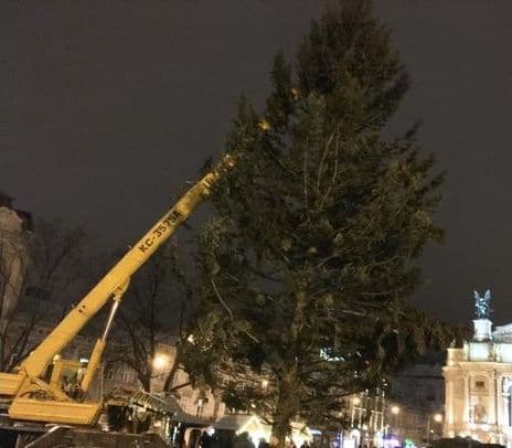 Cвято наближається: у Львів привезли головну ялинку