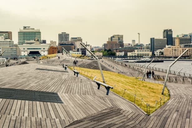 фото: newtonew.com