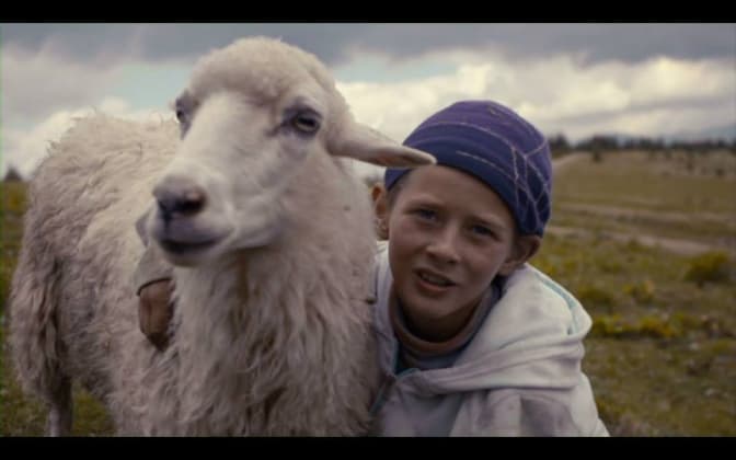 У Львові покажуть фільм «Жива ватра» про життя карпатських вівчарів