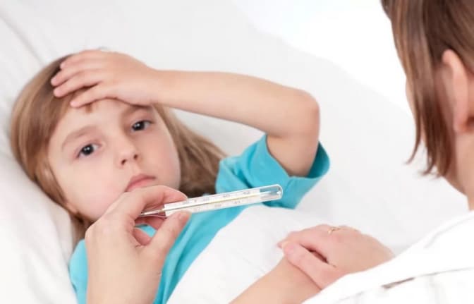 Фото: soveti.com.ua/