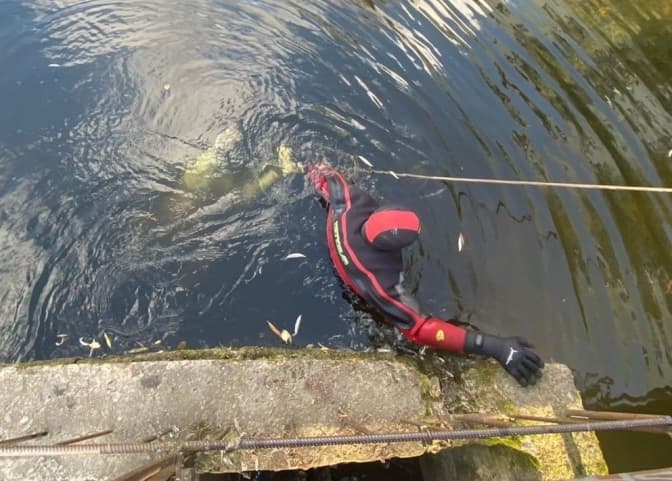 Фото: Поліція Львівщини