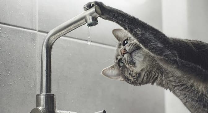 Сьогодні кілька вулиць Личаківського району Львова будуть без води. Перелік