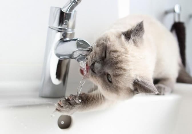 Низка вулиць Львова залишилась без води. Адреси