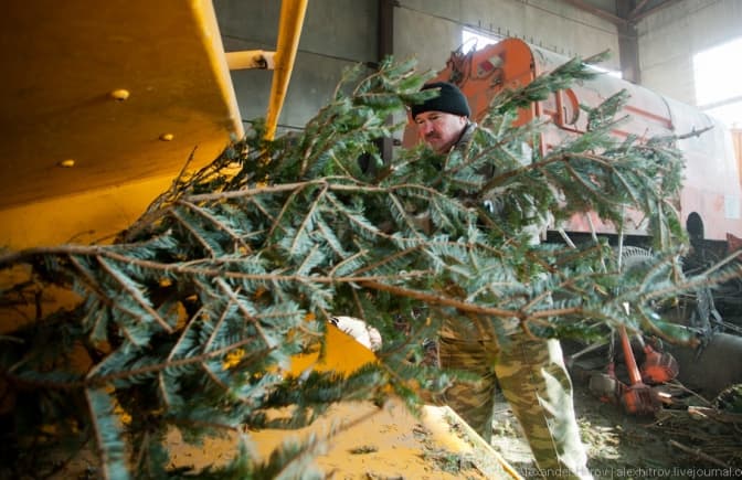 фото: galpravda.info