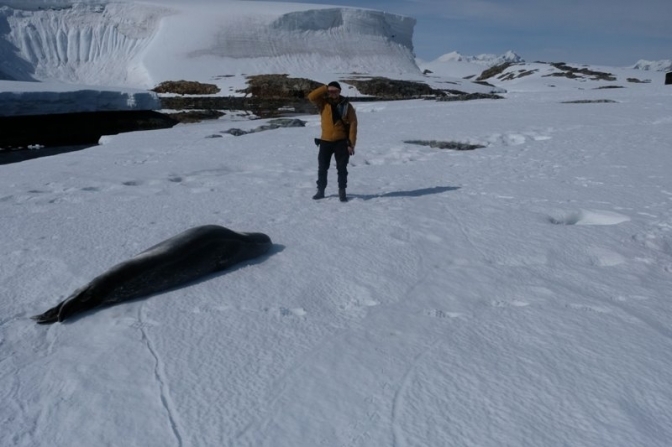 Фото: Автостопом в Антарктиду