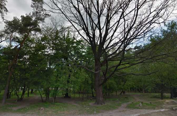 Зелена зона на Олевській. Фото: Google Maps