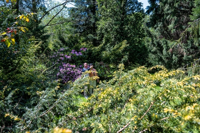 Ботанічний сад. Фото: Твоє місто